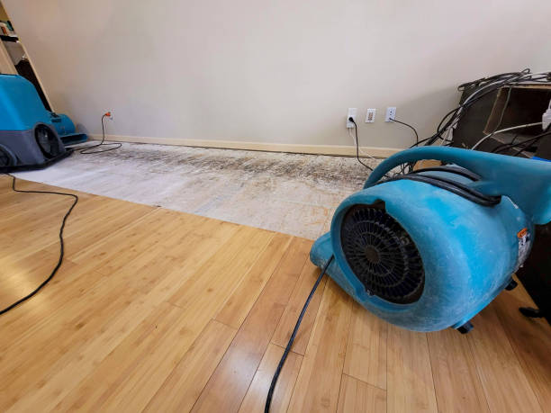Professional Water Damage Repair technician working in Palm Beach Gardens, FL